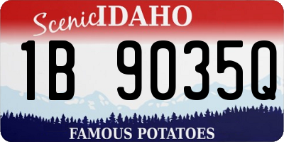 ID license plate 1B9035Q