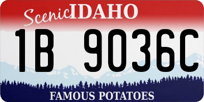 ID license plate 1B9036C