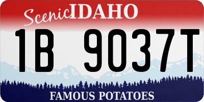 ID license plate 1B9037T