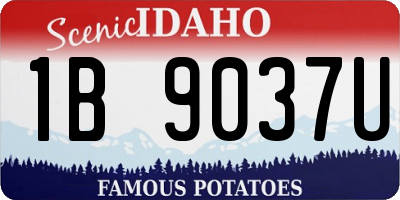 ID license plate 1B9037U