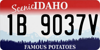 ID license plate 1B9037V