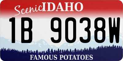 ID license plate 1B9038W
