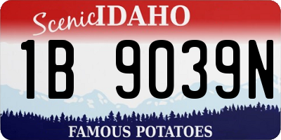 ID license plate 1B9039N