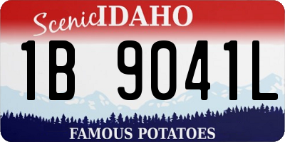 ID license plate 1B9041L