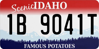 ID license plate 1B9041T