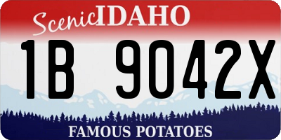 ID license plate 1B9042X