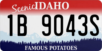 ID license plate 1B9043S