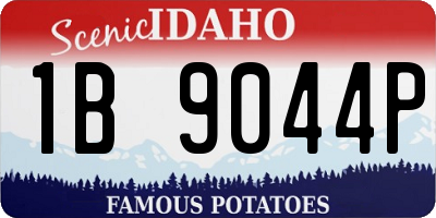 ID license plate 1B9044P