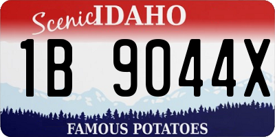ID license plate 1B9044X