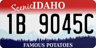 ID license plate 1B9045C