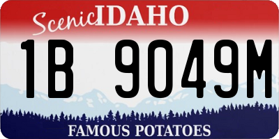 ID license plate 1B9049M