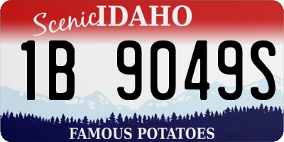 ID license plate 1B9049S
