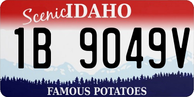 ID license plate 1B9049V