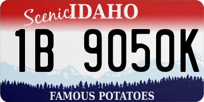ID license plate 1B9050K