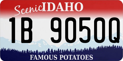 ID license plate 1B9050Q