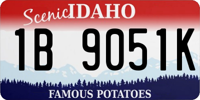 ID license plate 1B9051K