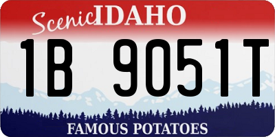 ID license plate 1B9051T