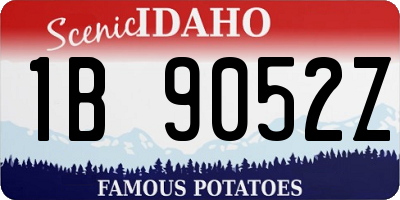 ID license plate 1B9052Z