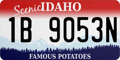 ID license plate 1B9053N