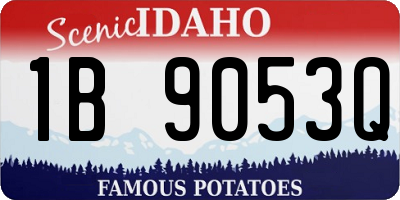 ID license plate 1B9053Q