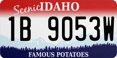 ID license plate 1B9053W