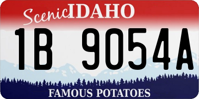 ID license plate 1B9054A