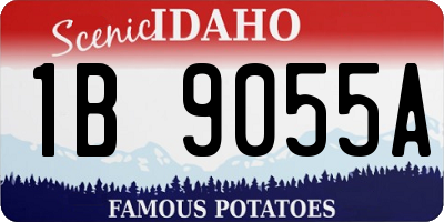 ID license plate 1B9055A