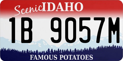 ID license plate 1B9057M