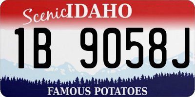 ID license plate 1B9058J