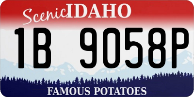 ID license plate 1B9058P