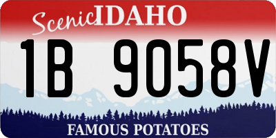 ID license plate 1B9058V