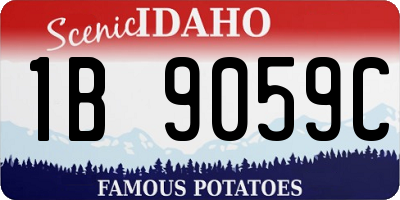 ID license plate 1B9059C