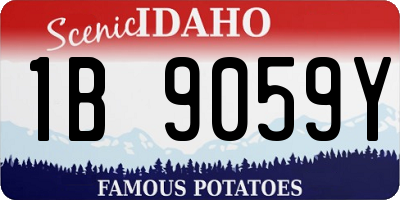 ID license plate 1B9059Y