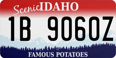 ID license plate 1B9060Z