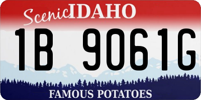 ID license plate 1B9061G