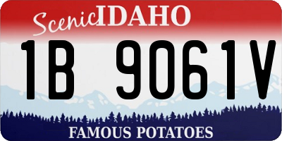 ID license plate 1B9061V