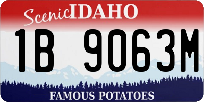 ID license plate 1B9063M