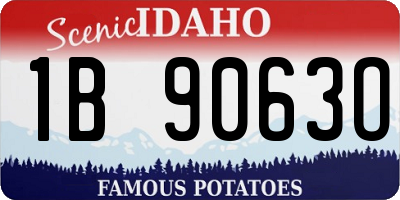 ID license plate 1B9063O