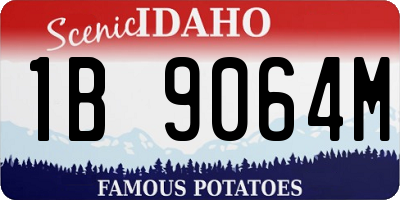 ID license plate 1B9064M