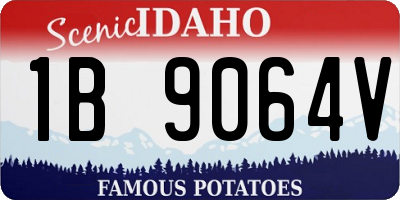 ID license plate 1B9064V