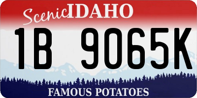 ID license plate 1B9065K