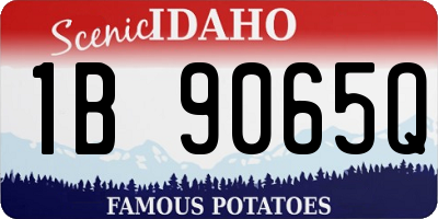 ID license plate 1B9065Q