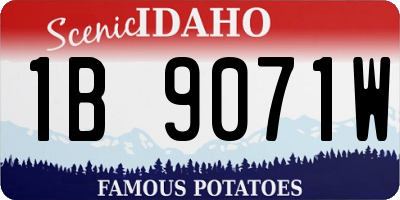 ID license plate 1B9071W
