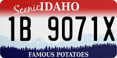 ID license plate 1B9071X