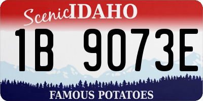 ID license plate 1B9073E