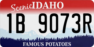 ID license plate 1B9073R