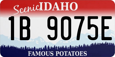 ID license plate 1B9075E