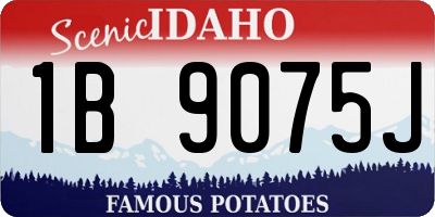 ID license plate 1B9075J
