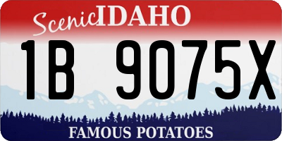 ID license plate 1B9075X