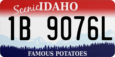 ID license plate 1B9076L